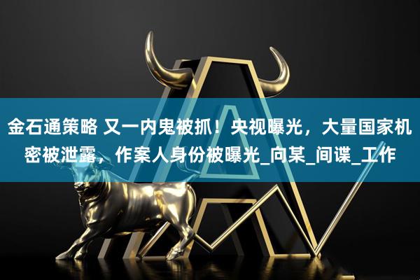 金石通策略 又一内鬼被抓！央视曝光，大量国家机密被泄露，作案人身份被曝光_向某_间谍_工作