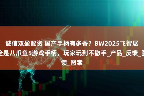 诚信双盈配资 国产手柄有多香？BW2025飞智展台全是八爪鱼5游戏手柄，玩家玩到不撒手_产品_反馈_图案