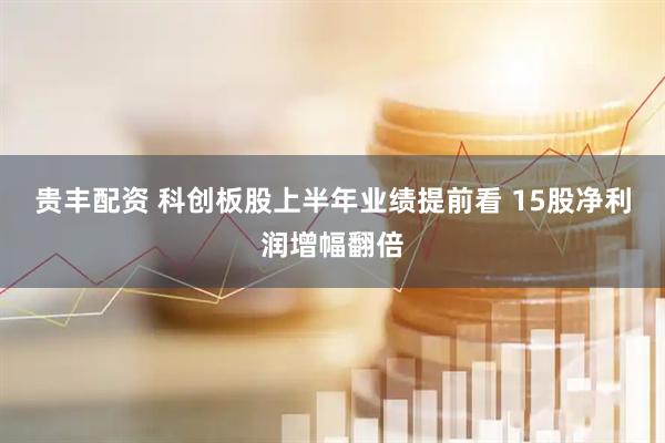 贵丰配资 科创板股上半年业绩提前看 15股净利润增幅翻倍