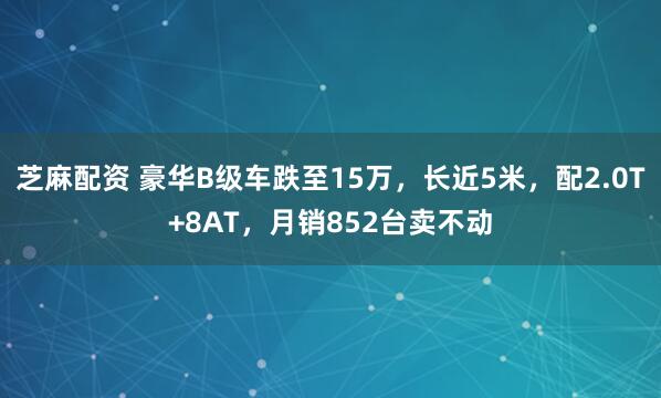 芝麻配资 豪华B级车跌至15万，长近5米，配2.0T+8AT，月销852台卖不动