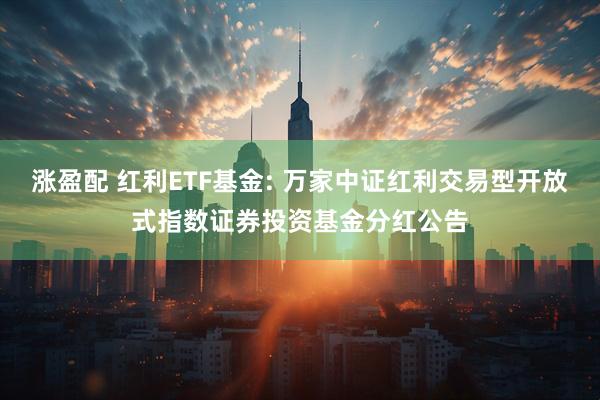 涨盈配 红利ETF基金: 万家中证红利交易型开放式指数证券投资基金分红公告